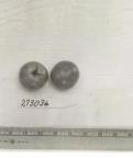 Click for 1 image(s) for this accession. FRUIT